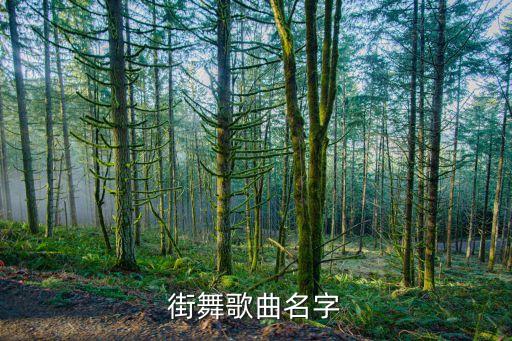 街舞歌曲名字