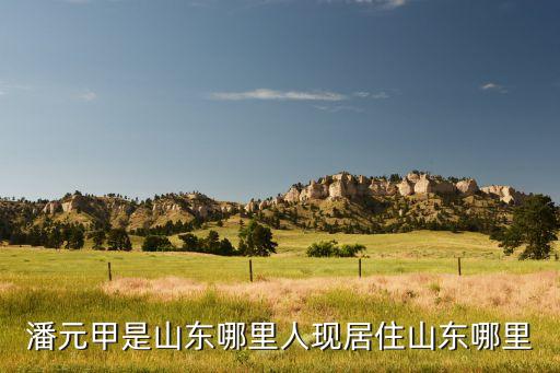 沂个哥妹是山东哪里的，潘元甲是山东哪里人现居住山东哪里