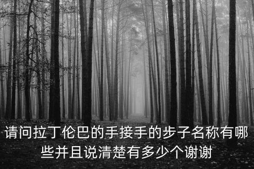 请问拉丁伦巴的手接手的步子名称有哪些并且说清楚有多少个谢谢