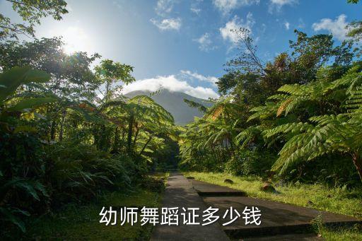 北京考舞蹈证多少钱，幼师舞蹈证多少钱
