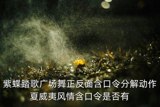 紫蝶踏歌广场舞正反面含口令分解动作夏威夷风情含口令是否有