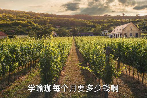 学瑜珈每个月要多少钱啊