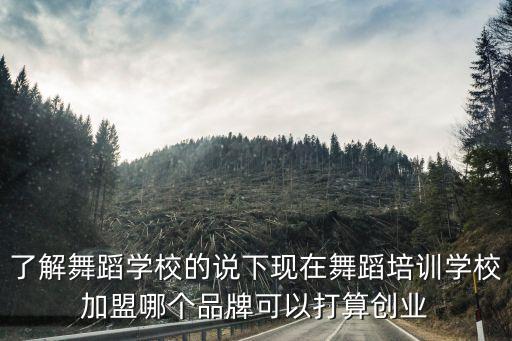 了解舞蹈学校的说下现在舞蹈培训学校加盟哪个品牌可以打算创业