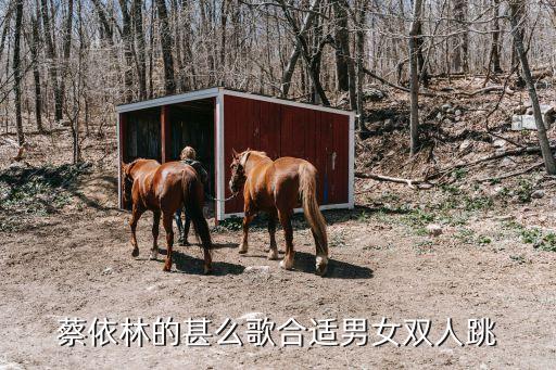 蔡依林的甚么歌合适男女双人跳