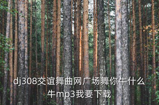 dj308交谊舞曲网广场舞你牛什么牛mp3我要下载