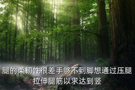 怎么样竖叉，怎么样压腿的横竖叉