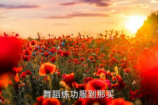 中国舞舞练功服，需要采购一批有档次的舞蹈练功服芭蕾舞用的国内有什么性价比高