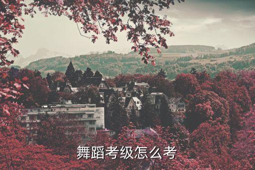 中国舞7级考级有哪些，考级的27个组合民族舞的考级7级