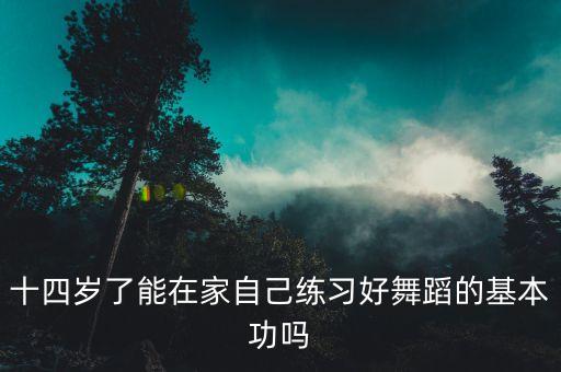 十四岁了能在家自己练习好舞蹈的基本功吗