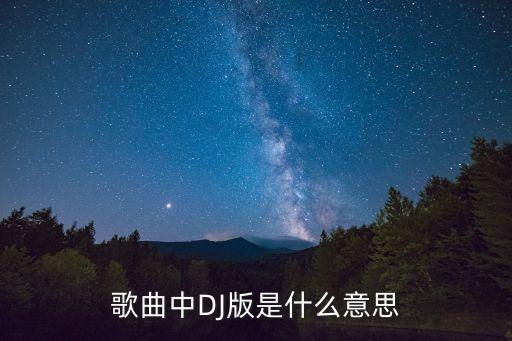 歌曲摇并三是什么意思是什么歌曲，歌曲中DJ版是什么意思