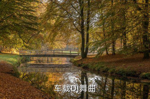 车载音乐dj视频大全免费下载，谁有好听劲暴的车载DJ舞曲分享下谢谢