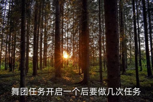 舞团任务开启一个后要做几次任务