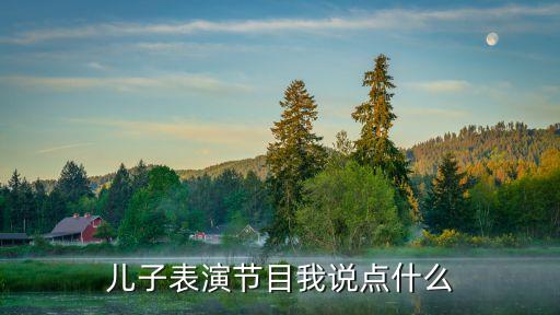 儿子表演节目我说点什么