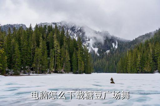 糖豆广场舞算什么mp3下载，请问2014最新广场舞曲好日子在哪可以下载