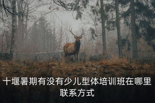 十堰暑期有没有少儿型体培训班在哪里联系方式