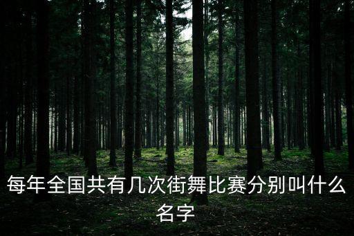 中国有什么舞蹈比赛，全国街舞比赛