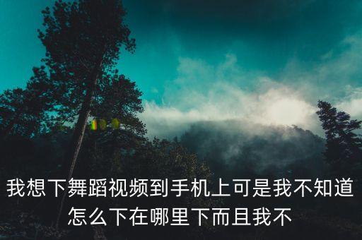 哪里能下载古典舞教学视频，请问哪里能找到舞蹈教学视频我在网上找了下载不了哪位大侠能帮