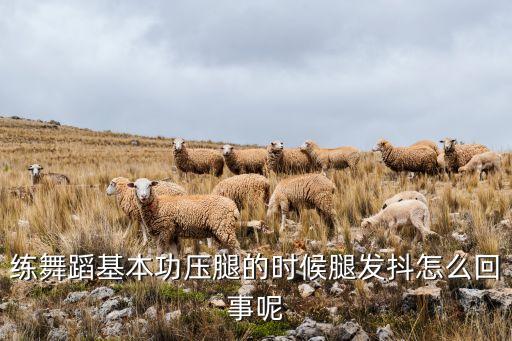 练舞蹈基本功压腿的时候腿发抖怎么回事呢