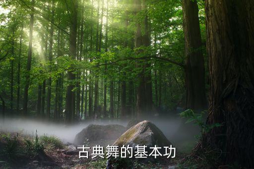 古典舞的基本功