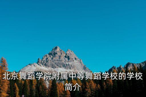 舞蹈学校的简介怎么写，舞蹈文艺培训学校的简介怎么写求解急急急