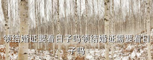 领结婚证要看日子吗领结婚证需要看日子吗