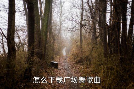 怎么下载广场舞歌曲