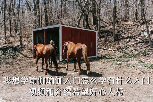 我想学瑜伽瑜伽入门怎么学有什么入门视频和介绍希望好心人帮