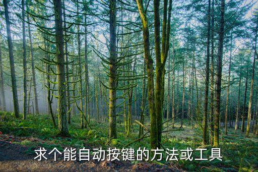 求个能自动按键的方法或工具