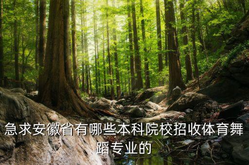 急求安徽省有哪些本科院校招收体育舞蹈专业的