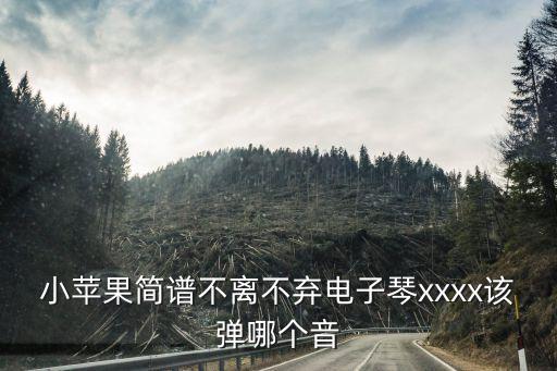 小苹果简谱不离不弃电子琴xxxx该弹哪个音
