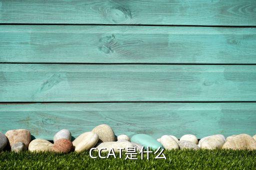 CCAT是什么