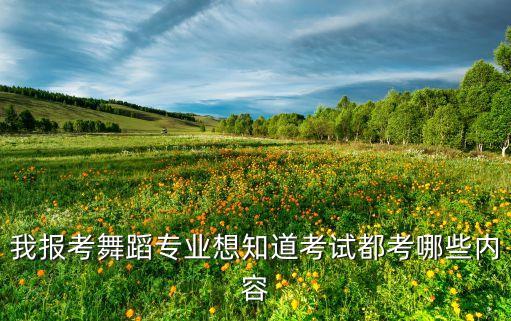 我报考舞蹈专业想知道考试都考哪些内容