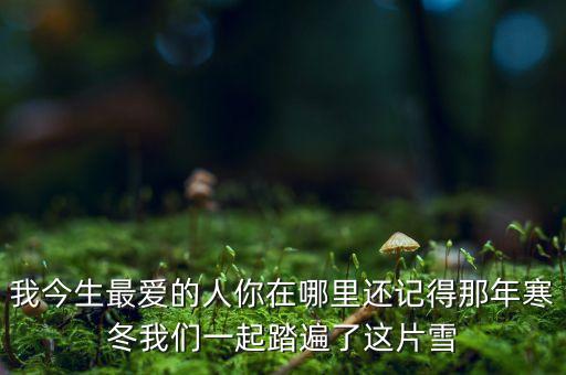 我最爱的你在哪里柴强，我最爱的你在哪儿