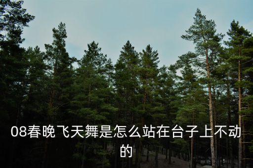 08春晚飞天舞是怎么站在台子上不动的