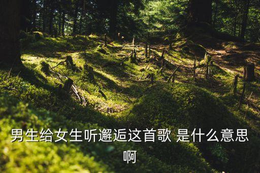 男生给女生听邂逅这首歌 是什么意思啊