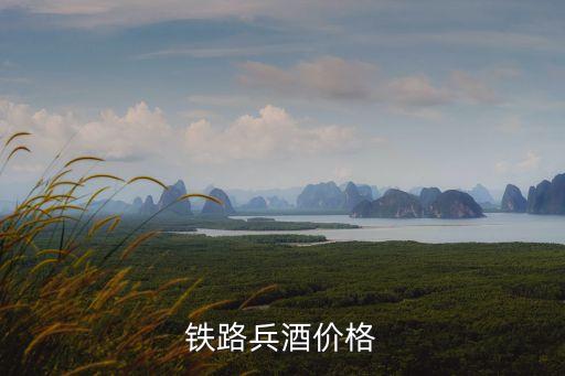 咱当兵的人酒多少钱，当兵的人酒价格钢铁长城 500ml 多少钱