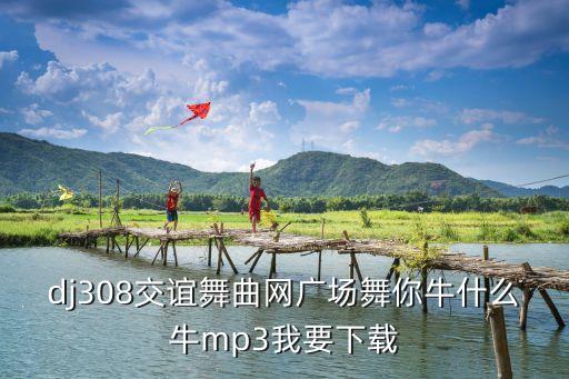 小可乐恩恩广场舞 牛什么牛，广场舞你牛甚么牛mp3