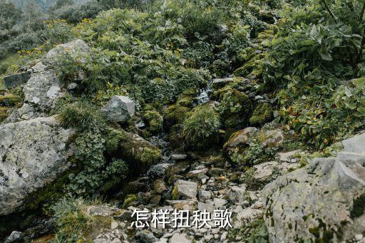 怎样扭秧歌