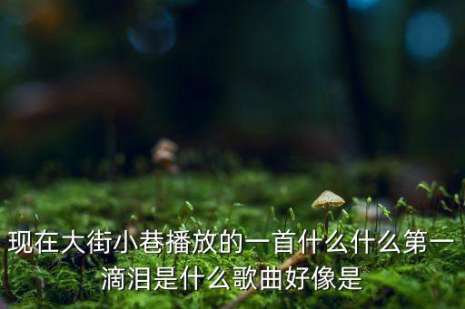 现在大街小巷播放的一首什么什么第一滴泪是什么歌曲好像是