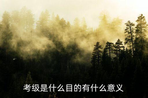 考级是什么目的有什么意义