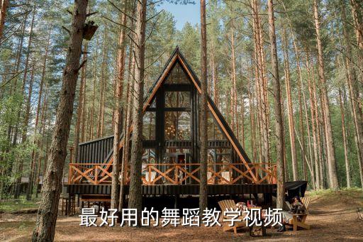 最好用的舞蹈教学视频