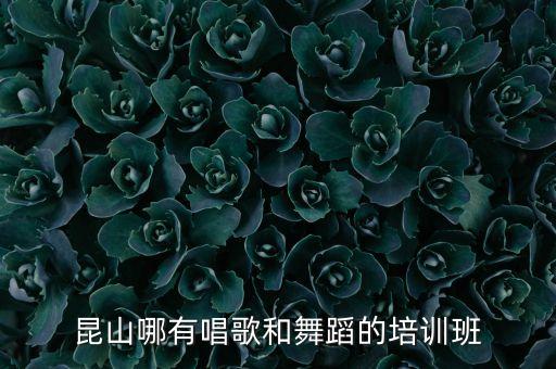 昆山哪有唱歌和舞蹈的培训班