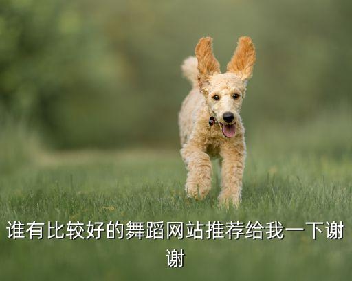 哪个网站跳舞视频资源多，谁有比较好的舞蹈网站推荐给我一下谢谢