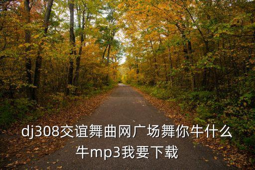 dj308交谊舞曲网广场舞你牛什么牛mp3我要下载
