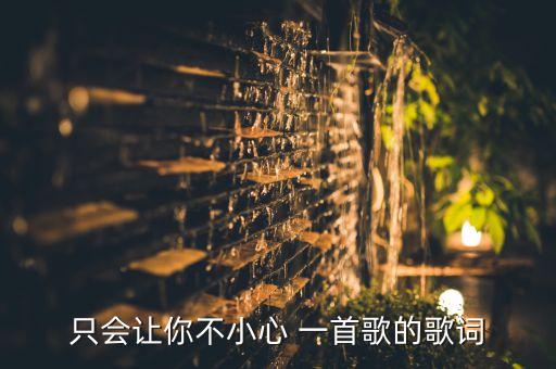 只会让你不小心 一首歌的歌词