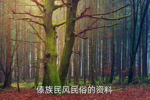 傣族民风民俗的资料