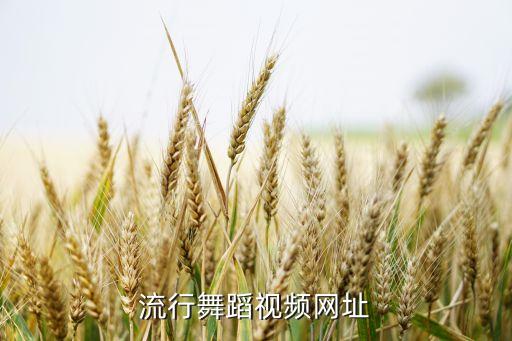 流行舞蹈视频网址