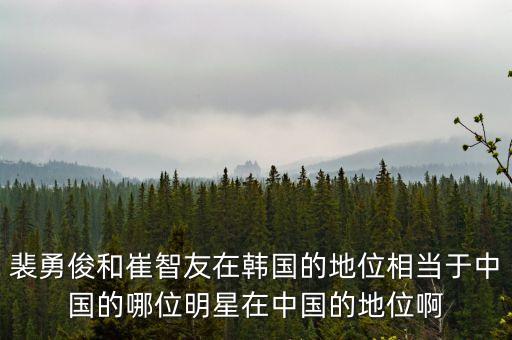 裴勇俊和崔智友在韩国的地位相当于中国的哪位明星在中国的地位啊