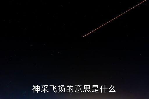 神采飞扬的扬什么意思是什么，神采飞扬词语是什么意思怎样理解