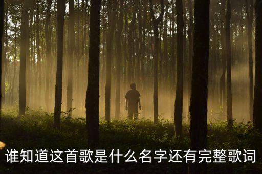 谁知道这首歌是什么名字还有完整歌词